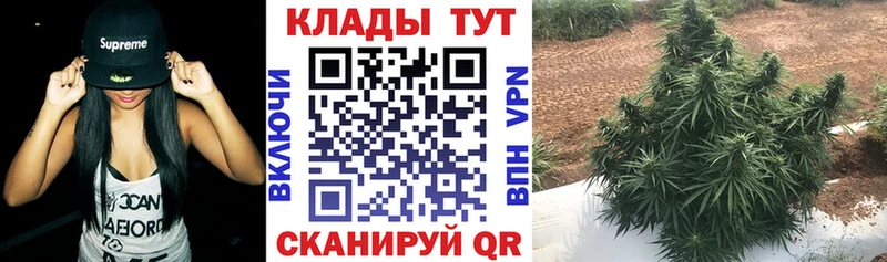 Где купить наркотики Куса АМФЕТАМИН СОЛЬ Мефедрон COCAIN ГАШИШ