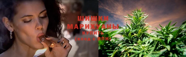 амф Арсеньев