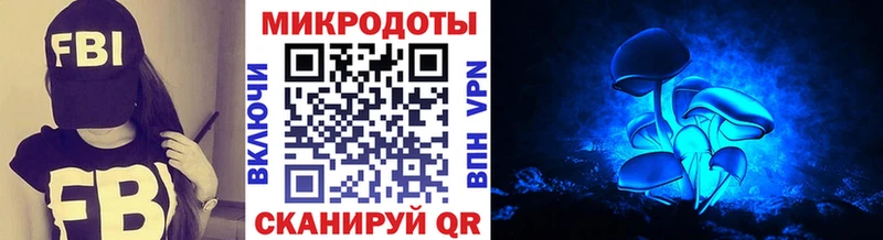 дарнет шоп  Куса  Галлюциногенные грибы прущие грибы 