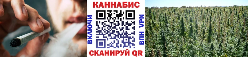 Канабис Amnesia МЕГА маркетплейс Куса